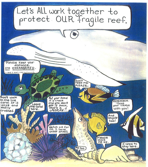 save the reef