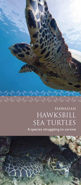 cover page of Hawaiian hawksbill brochure