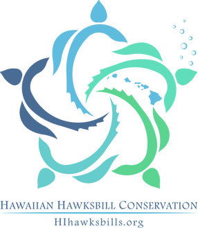 HI Hawksbills logo