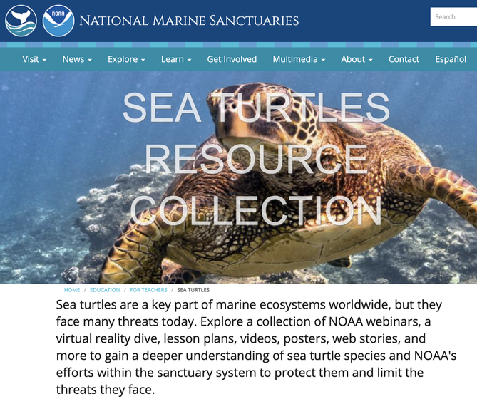 NOAA collection
