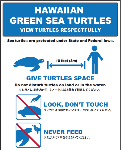 Green Sea Turtle Sign