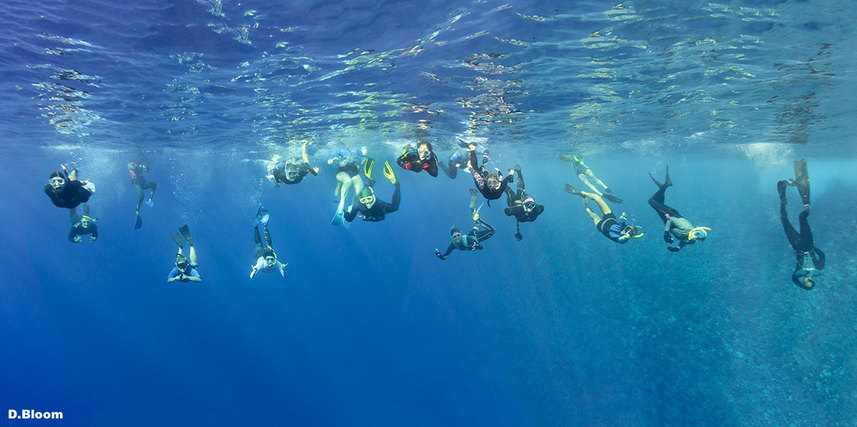Molokini Team by Don Bloom