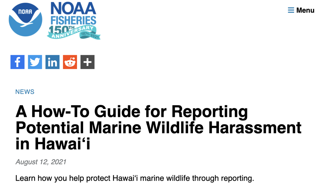 NOAA guide for reporting harassment